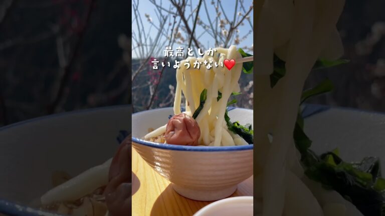 【奈良 月ヶ瀬】絶景梅まつりで梅うどん食べてきた @月ヶ瀬梅渓　#shorts
