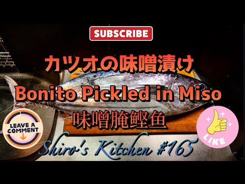 カツオの味噌漬け  #165  Bonito Pickled in Miso  味噌腌鲣鱼