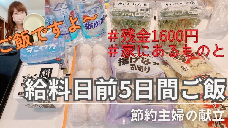 【夜ご飯献立】給料日前の食費残金1600円と家にあるもので作る夕ご飯/40代節約主婦vlog/夕飯レシピ/料理vlog vol.48