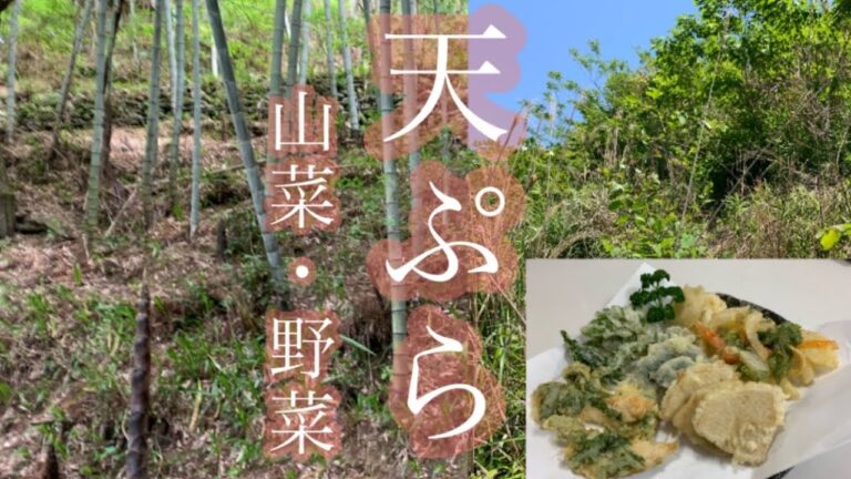 [山菜・野菜(春)]たけのこ天ぷら　山菜天ぷら　春野菜天ぷら＃天ぷら＃山菜野菜料理＃筍の天ぷら