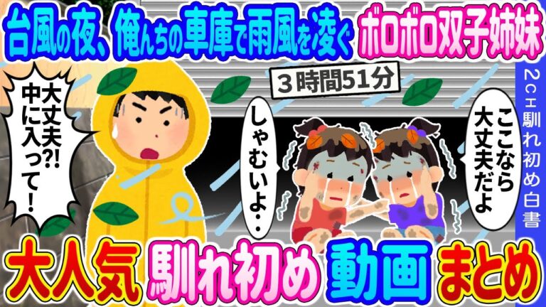 【2ch 馴れ初め総集編】台風の夜、俺んちの車庫で雨風を凌ぐボロボロ双子→温かいお風呂と自慢の肉じゃがを振る舞った結果… 2ch馴れ初め白書 人気馴れ初め動画まとめてみた！総集編【作業用】【ゆっくり】