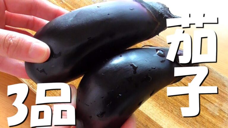 【ナスレシピ】3品！おつまみに♪あと一品に♪