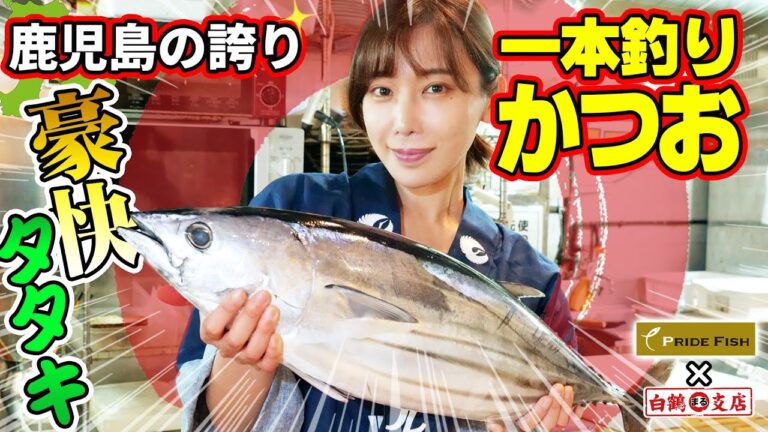 【美人すぎるカツオ】鹿児島産一本釣りかつお！フライパンで作れる簡単タタキ！鰹が綺麗すぎて森さん、超うっとり！【魚屋の森さん/PRIDE FISH】