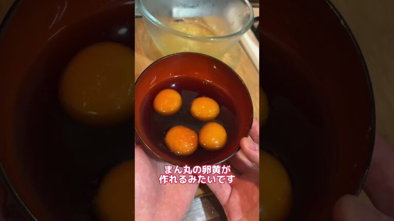 SNSで話題のおにぎりぼんごの卵黄そぼろを再現した結果ww #shorts