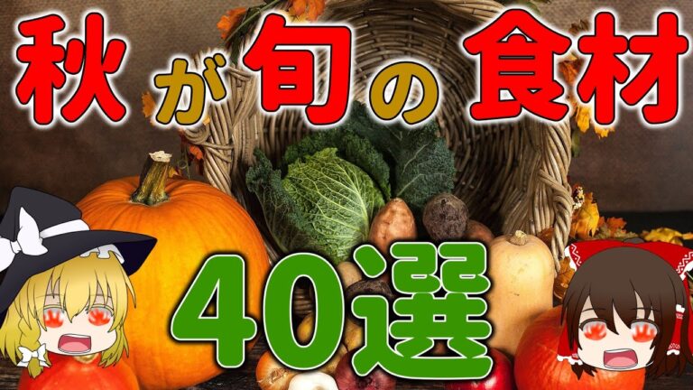 【ゆっくり解説】食欲の秋を味わえ！秋が旬の食材を解説総集編！