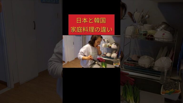 日本と韓国の母のご飯の違いwww