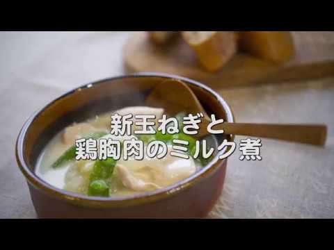 優しいミルク味でしあげる【新玉ねぎと鶏むね肉のミルク煮】