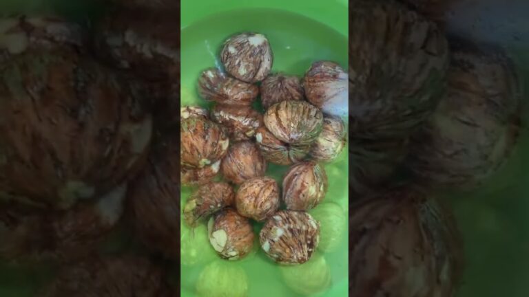 秋だから栗の渋皮煮作ってみた　#shorts  #お菓子　#料理　#秋の味覚