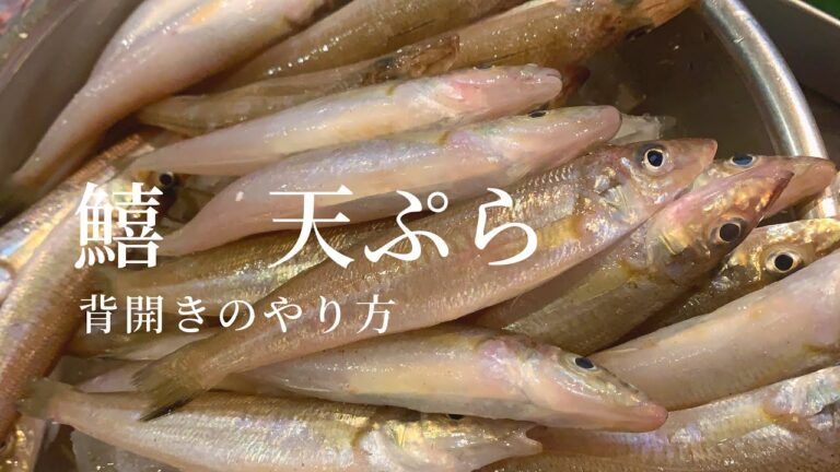 【鱚】『コツ』は水分を脱水しながら揚げて旨味を引き出す　長めに揚げても硬くならない白身魚