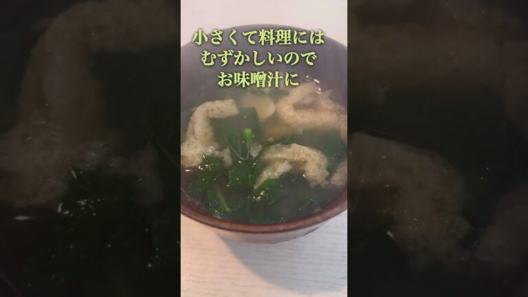 ベランダで栽培した大根でお味噌汁#ダイソーの種