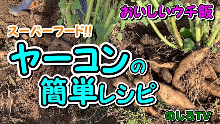 ヤーコンの簡単レシピ☆フラクトオリゴ糖のほのかな甘みとシャキシャキ食感がたまらない✨健康効果抜群のスーパーフードです♪【おいしいウチ飯】