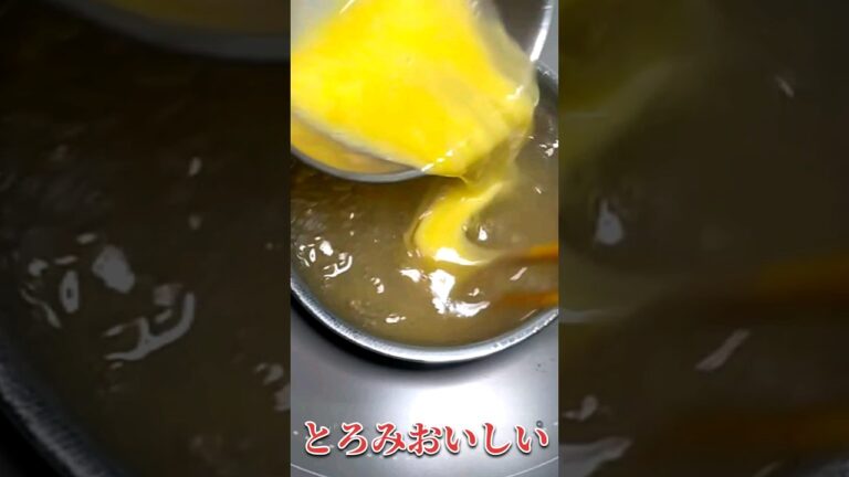 玉子とじうどん #shorts #おばちゃんの夜食