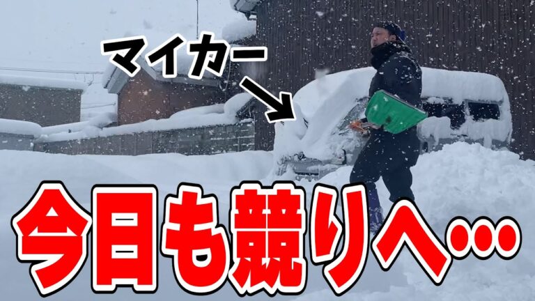 【豪雪市場】極寒の中、仕入れた牡蠣を味噌鍋にしたら涙が出るほど旨かった。。　［京都舞鶴卸売市場］
