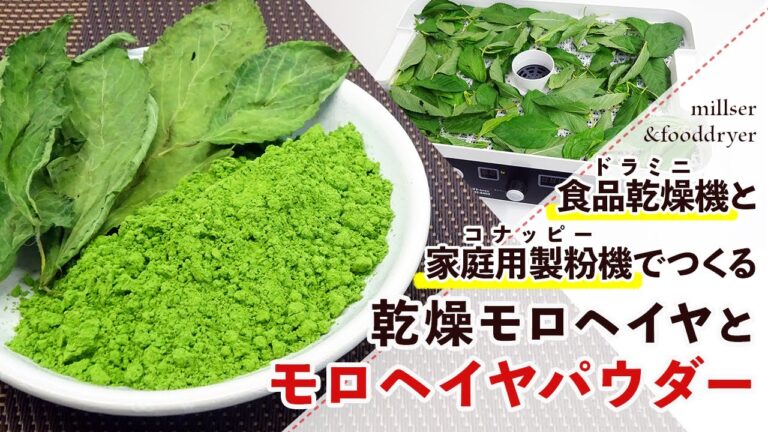 【干し野菜】乾燥モロヘイヤとモロヘイヤパウダーの作り方【ドライモロヘイヤ】