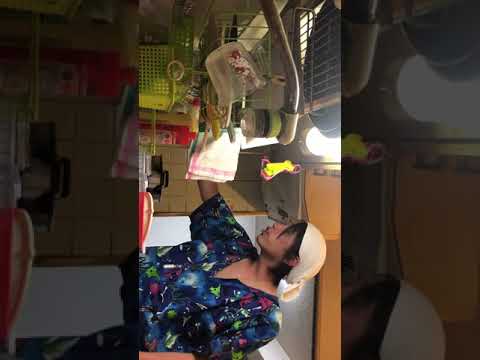 ハマグリの美味しい食べ方講座味噌汁編その２