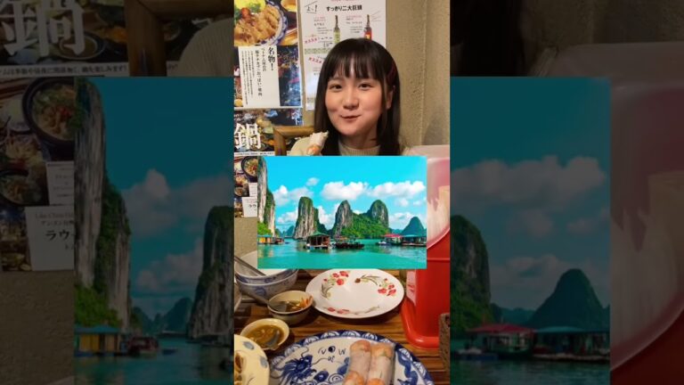 生春巻き専門店で、のすけさんとぼっち飯@nosuke_bocchi#ぼっち飯#ベトナム#生春巻き