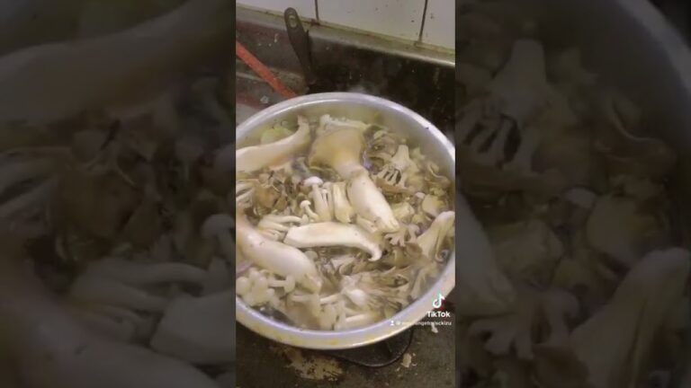 キノコ🍄ちゃんこ鍋作りました