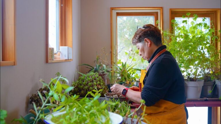 冬の終わりの暮らしのVlog｜レモンパスタとオリーブオイル｜植物の切り戻し｜最後の除雪｜かき揚げ蕎麦