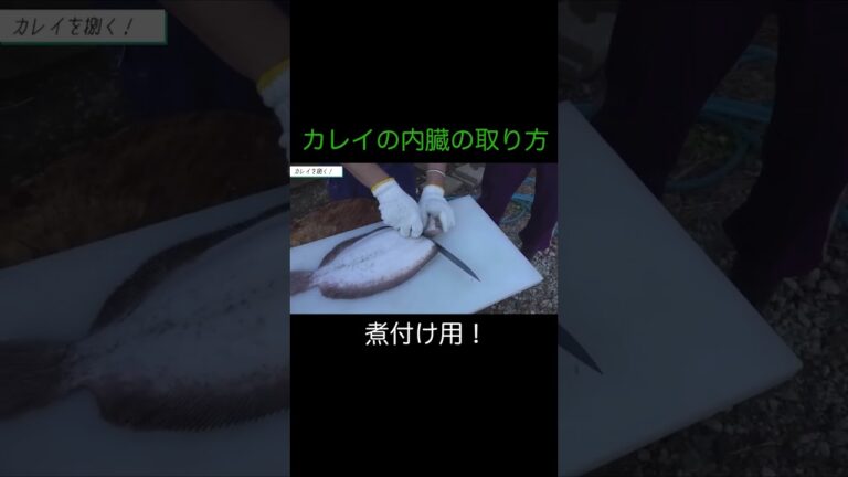 【ひみつ基地。】煮付け用カレイの内臓の取り方【切り抜き】