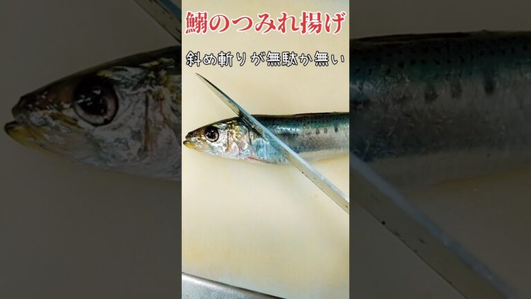 初心者必見！【画伯の料理】イワシのつみれ揚げ#shorts #簡単レシピ