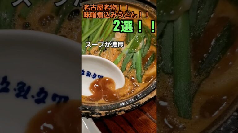 名古屋名物！！人気な味噌煮込みうどん2選！！【名古屋】