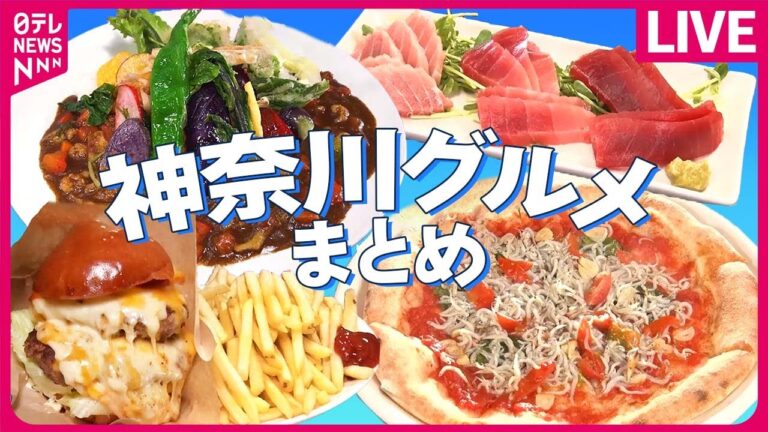 【神奈川グルメまとめ】40種以上の野菜　具だくさんカレー / トロける脂！三崎マグロ3点盛り / 肉汁たっぷりハンバーガー  など　（日テレNEWS LIVE）
