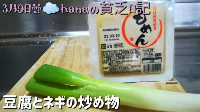 豆腐とネギの炒め物　時短惣菜　ダイエットに最適　介護中でも簡単料理