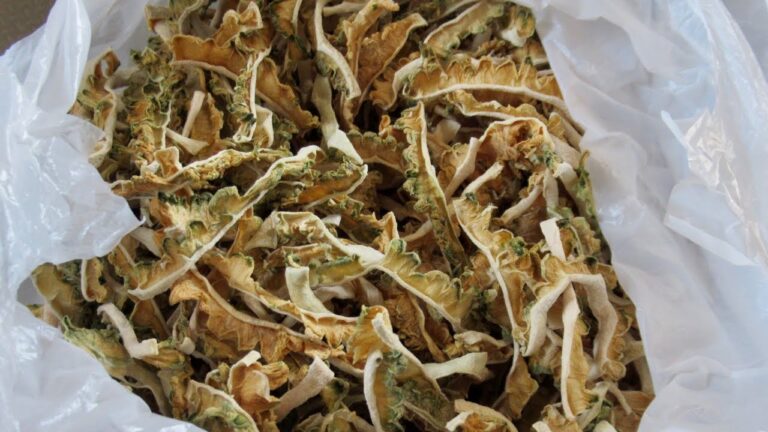乾燥野菜クッキング 〜ゴーヤの佃煮編〜  2022.6.2