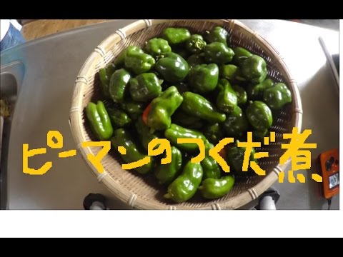 家庭菜園で採れる最後のピーマン大量消費　ピーマンの佃煮