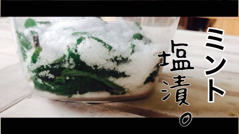 【おうちじかん】ミントの塩漬けを使ったら、いつものおうちごはんがお洒落ご飯になった日の事