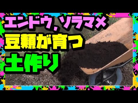 【土作り】フカフカ越冬対策 ソラマメとエンドウのための土づくり【家庭菜園】