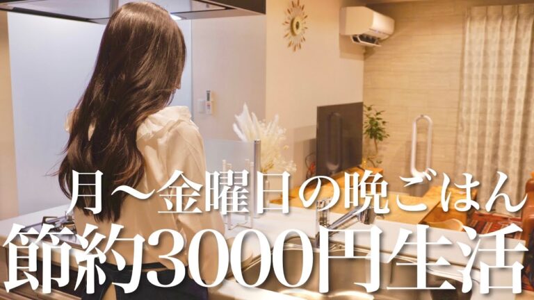 【節約】2人暮らしの平日5日間の晩ごはん3000円でも大満足！26歳共働き夫婦【おうちごはん】ガパオライス / チャーハン/ 棒々鶏 etc. エビ 鶏むね肉 レシピの夕ご飯