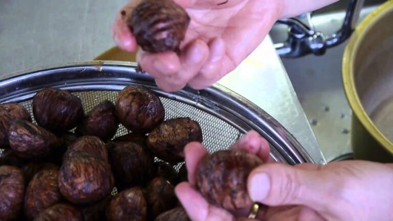 栗の渋皮煮