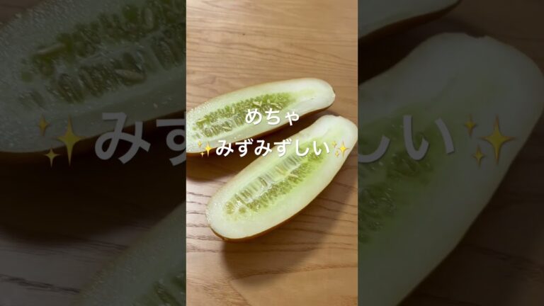 【夏バテ防止】沖縄県産野菜モーイ（赤瓜）でピクルスとツナ和えを作ってみました