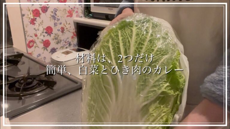 材料は、白菜とひき肉だけの簡単カレー