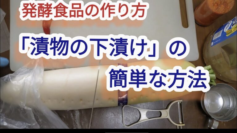 発酵食品 漬物の下 漬け 簡単な方法