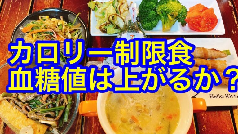 【糖質制限食 血糖値実験室】カロリー制限食にしたら血糖値は上がるか？糖尿病患者の測定結果
