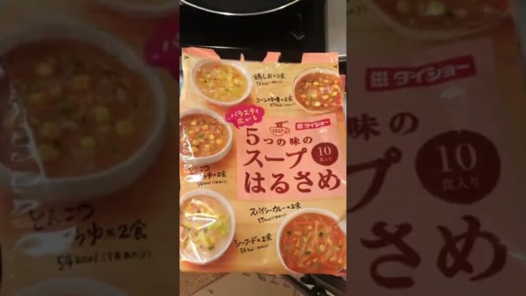 限界スープ春雨