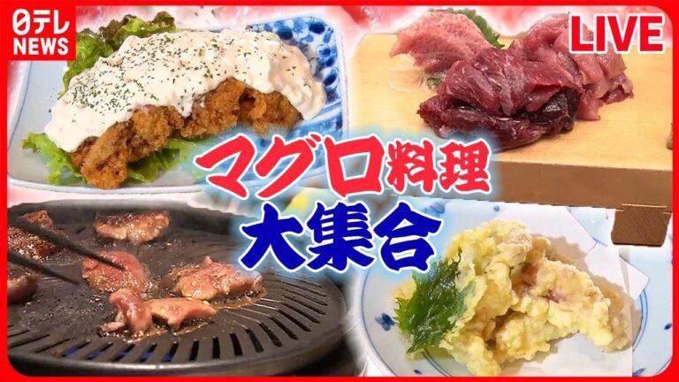 【マグロまとめ】”マグロ愛”店主の専門店 / さっぱりとした脂のうまみ！魚市場でマグロ食べ放題 / 親子３代でマグロに人生をかける　唯一無二の絶品マグロ料理！　など（日テレNEWSLIVE）