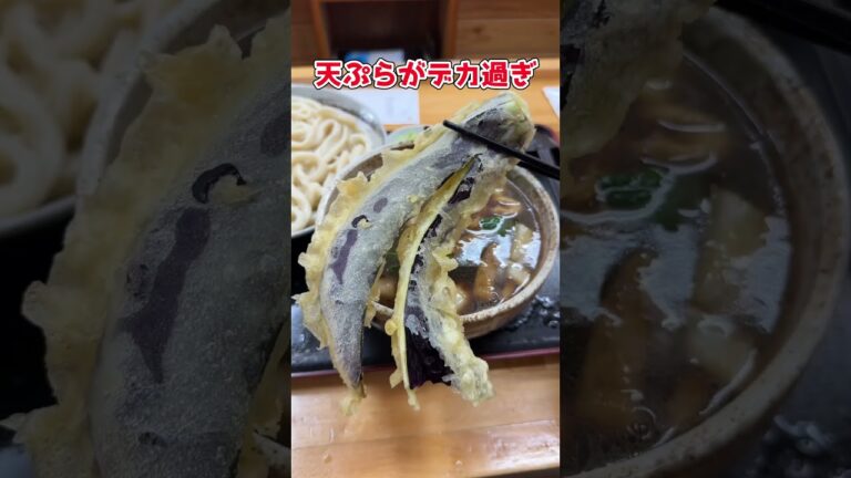【まとめ】埼玉絶品うどんまとめ特集5選【埼玉県】#shorts