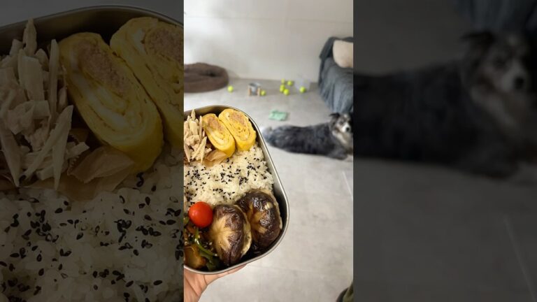 【25歳同棲彼へのお弁当】椎茸つくね弁当🍱 #同棲ご飯 #毎日弁当 #お弁当 #彼氏弁当