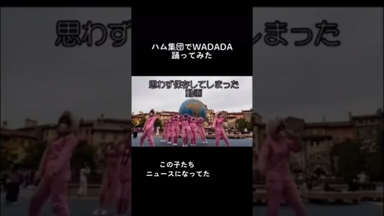 【絶対にマネしないで】ディズニーシー開園後1番炎上した人達【ハム集団】