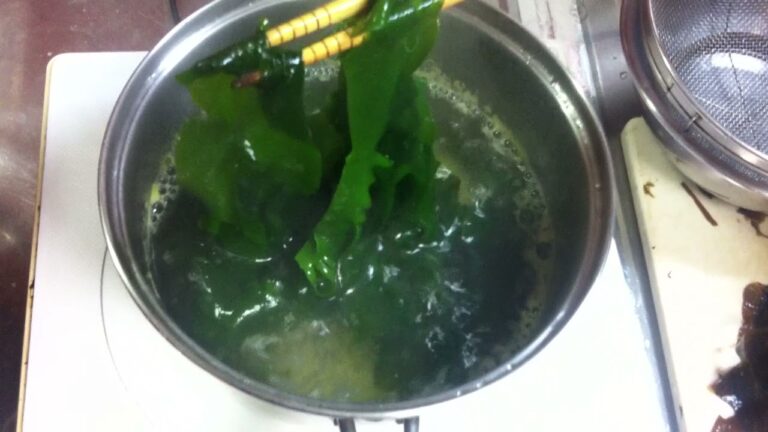 美味しい生ワカメのゆで方! 美味しい食べ方!天然ワカメ。