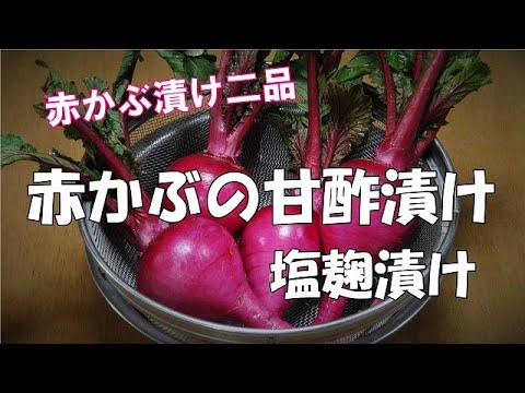 【超簡単】赤かぶの甘酢漬け『かぶの節約レシピ！！』