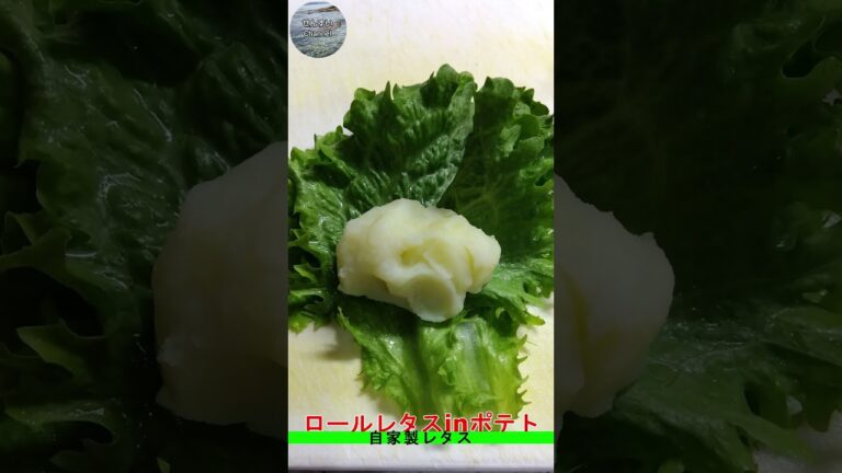 【ロールレタスinポテト　自家製レタスを収穫して料理！味付けはマーガリン、塩コショウだけ！売っているレタスの硬い外葉でもできます！】#じゃがいも #料理 #shorts #レタス #おうちごはん