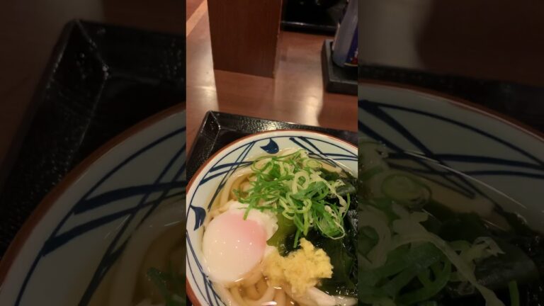 丸亀製麺わかめうどん温泉卵のっけ冷やしつゆ
