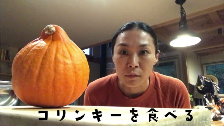 【簡単レシピ】コリンキーってこんなに美味しかったのか！塩昆布浅漬け　　　#旬の食材  #暮らし  #田舎暮らし  #コリンキー　#コリンキーの食べ方　#家庭菜園  #台所 #簡単レシピ  #