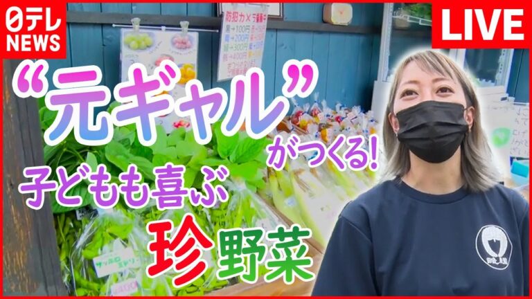 【特売まとめ】“子どもでも食べやすい”こだわりの野菜　行列のできる野菜直売所/肉も魚も買い得！人気の工場直売所 など  （日テレNEWS LIVE）