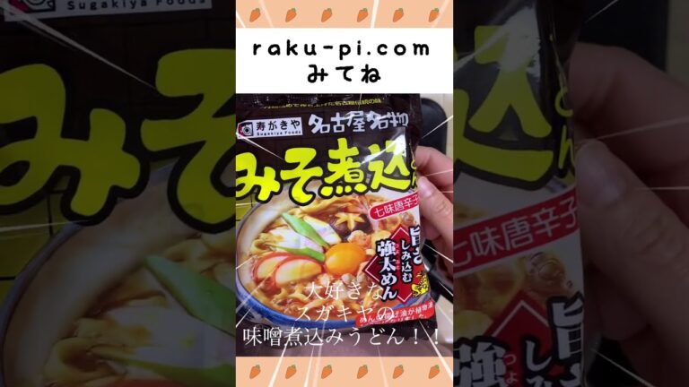 愛知県にしかない！？味噌煮込みうどんお家で簡単！主婦のひとりランチ