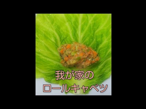 【鶏肉でロールキャベツ】ヘルシーな料理で健康作り#shorts #cabbagerolls #롤양배추